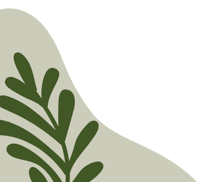 NGUYỄN TẤN PHÁT